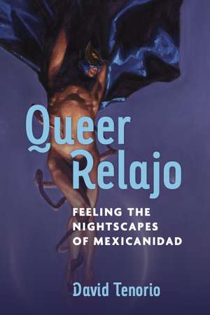 Queer Relajo: Feeling the Nightscapes of Mexicanidad de David Tenorio