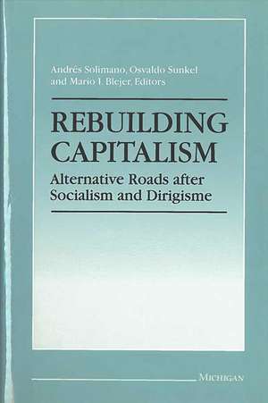 Rebuilding Capitalism: Alternative Roads after Socialism and Dirigisme de Andres Solimano