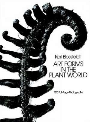 Art Forms in the Plant World de Karl Blossfeldt