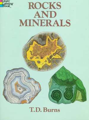 Rocks and Minerals: Re-Created in Paper Dolls de T. D. Burns