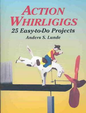 Action Whirligigs de Anders S. Lunde