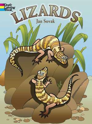 Lizards de Jan Sovak