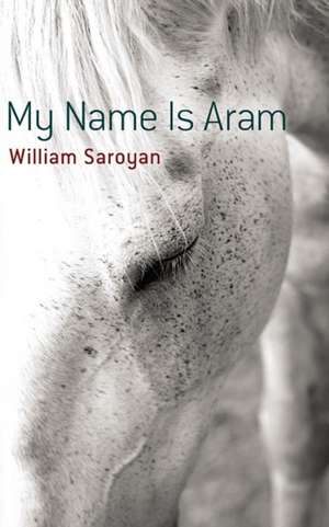 My Name Is Aram de William Saroyan