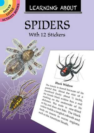 Sovak, J: Learning About Spiders de Jan Sovak