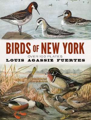 Birds of New York de Louis Agassiz Fuertes