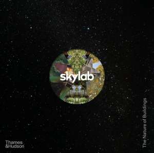 Skylab de Skylab