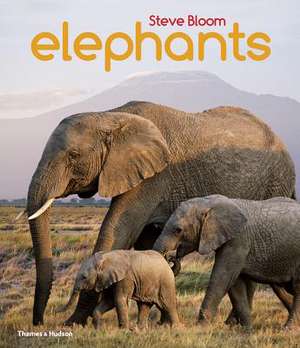 Elephants de Steve Bloom