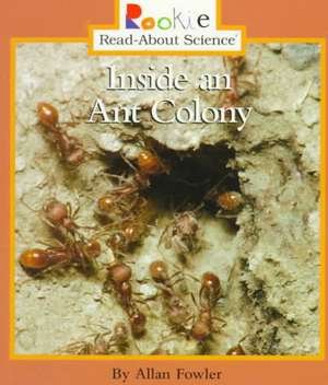 Inside an Ant Colony de Allan Fowler