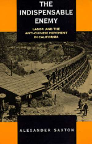 Saxton, A: Indispensable Enemy