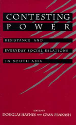 Contesting Power de Douglas E. Haynes