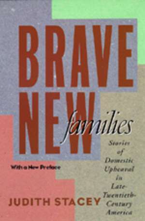 Brave New Faces – Stories of Domestic Upheaval in Late Twentieth Century America de Judith Stacey