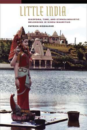 Little India – Diaspora, Time and Ethnolinguistic Belonging in Hindu Mauritius de Patrick Eisenlohr