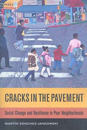 Cracks in the Pavement – Social Change and Resilience in Poor Neighborhoods de Martin Sanchez–jankows