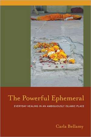 The Powerful Ephemeral de Carla Bellamy