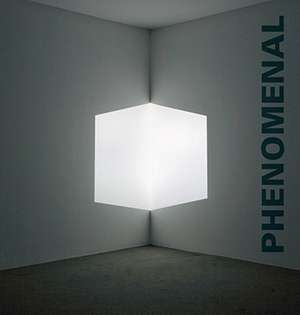 Phenomenal – California Light, Space, Surface de Robin Clark