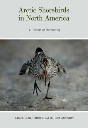 Arctic Shorebirds in North America – A Decade of Monitoring de Jonathan Bart