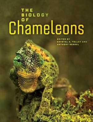 The Biology of Chameleons de Krystal A. Tolley