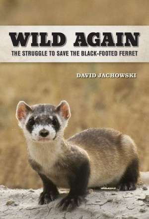 Wild Again – The Struggle to Save the Black–Footed Ferret de David S. Jachowski