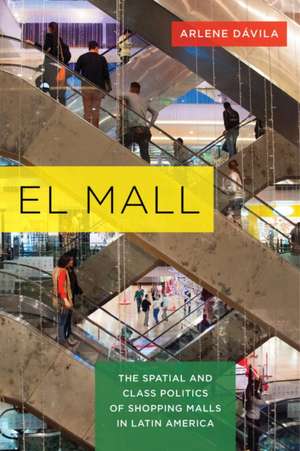 El Mall – The Spatial and Class Politics of Shopping Malls in Latin America de Arlene Dávila