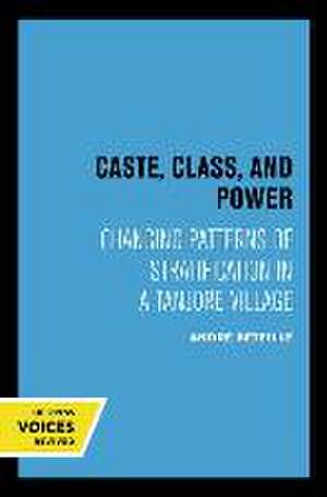 Caste, Class, and Power – Changing Patterns of Stratification in a Tanjore Village de Andre Beteille