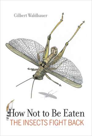 How Not to be Eaten – The Insects Fight Back de Gilbert Waldbauer