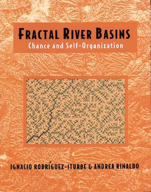 Fractal River Basins: Chance and Self-Organization de Ignacio Rodríguez-Iturbe