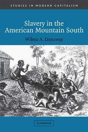 Slavery in the American Mountain South de Wilma A. Dunaway