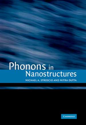 Phonons in Nanostructures de Michael A. Stroscio