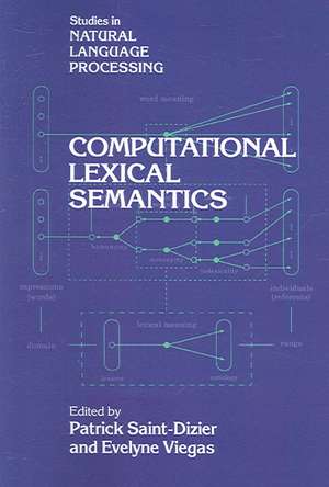 Computational Lexical Semantics de Patrick Saint-Dizier