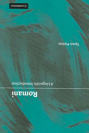 Romani: A Linguistic Introduction de Yaron Matras