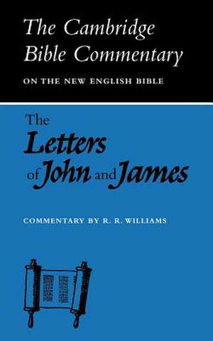 Letters of John and James de Raymond Brady Williams