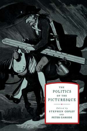 The Politics of the Picturesque: Literature, Landscape and Aesthetics since 1770 de Stephen Copley