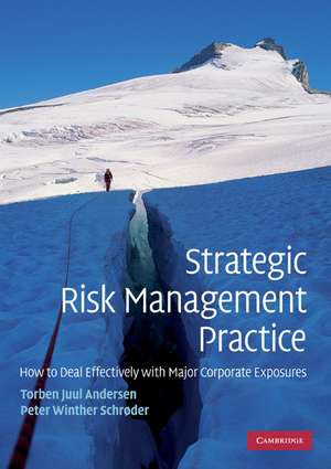 Strategic Risk Management Practice: How to Deal Effectively with Major Corporate Exposures de Torben Juul Andersen