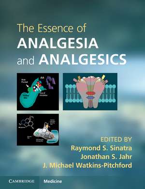 The Essence of Analgesia and Analgesics de Raymond S. Sinatra