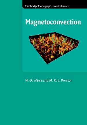 Magnetoconvection de N. O. Weiss