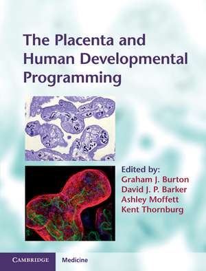 The Placenta and Human Developmental Programming de Graham J. Burton