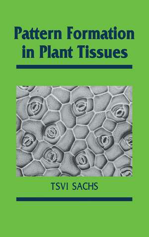 Pattern Formation in Plant Tissues de Tsvi Sachs