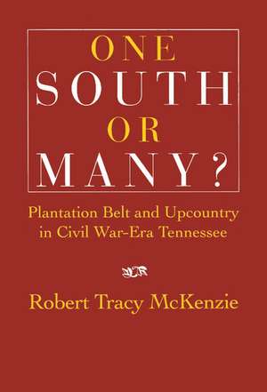 One South or Many?: Plantation Belt and Upcountry in Civil War-Era Tennessee de Robert Tracy McKenzie