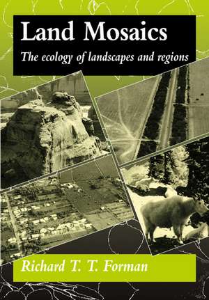 Land Mosaics: The Ecology of Landscapes and Regions de Richard T. T. Forman