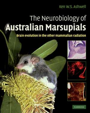 The Neurobiology of Australian Marsupials: Brain Evolution in the Other Mammalian Radiation de Ken Ashwell