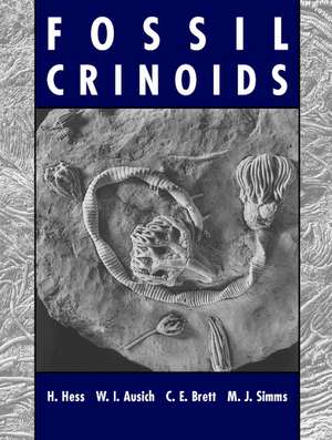 Fossil Crinoids de Hans Hess