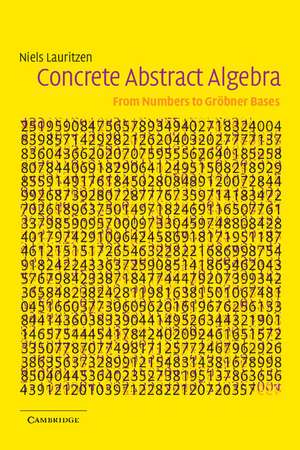 Concrete Abstract Algebra: From Numbers to Gröbner Bases de Niels Lauritzen