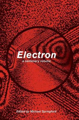 Electron: A Centenary Volume de Michael Springford