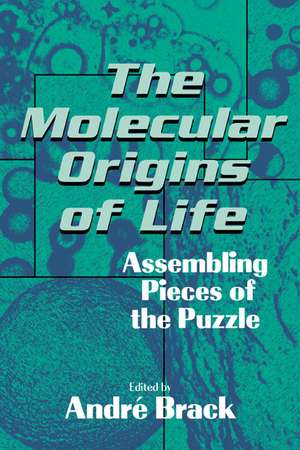 The Molecular Origins of Life: Assembling Pieces of the Puzzle de Andri Brack