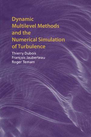 Dynamic Multilevel Methods and the Numerical Simulation of Turbulence de Thierry Dubois