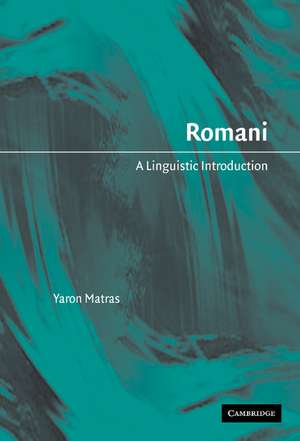 Romani: A Linguistic Introduction de Yaron Matras