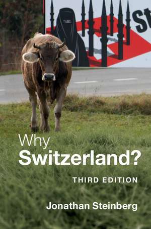 Why Switzerland? de Jonathan Steinberg