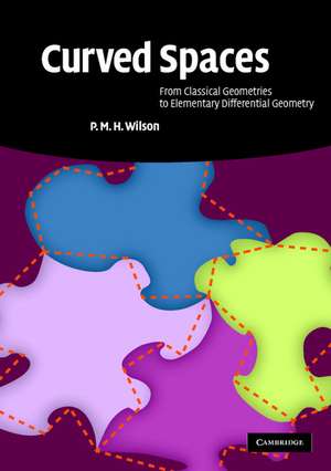 Curved Spaces: From Classical Geometries to Elementary Differential Geometry de P. M. H. Wilson