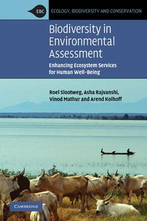 Biodiversity in Environmental Assessment: Enhancing Ecosystem Services for Human Well-Being de Roel Slootweg