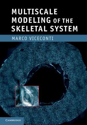 Multiscale Modeling of the Skeletal System de Marco Viceconti